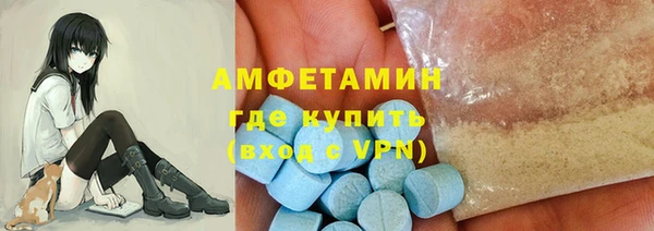 индика Бугульма