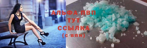 стафф Бородино