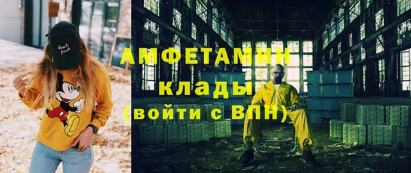 индика Бугульма