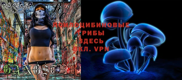 стафф Бородино