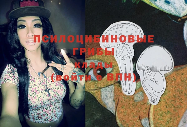стафф Бородино