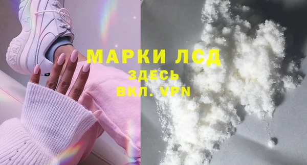 стафф Бородино